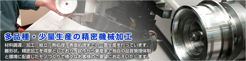 �ޥ��˥󥰲ù��λ����̻��ޤ�